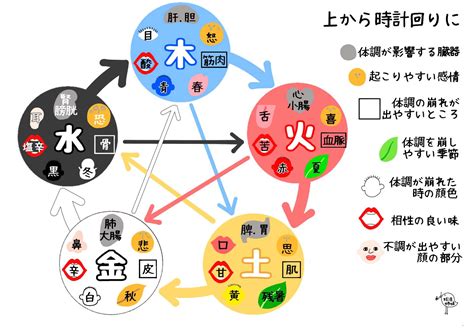 火日金水|東洋医学の五行「木火土金水」って何だろう